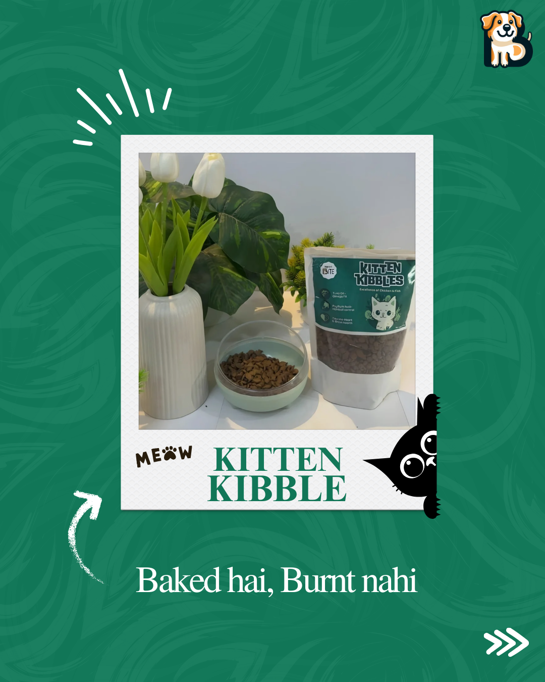 BFAB Oven Baked Kitten Kibbles for Cats - Chicken & Tuna Fish